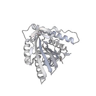 11340_6zpi_C_v1-0
Microtubule complexed with Kif15 motor domain. Symmetrised asymmetric unit