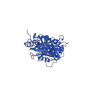 11342_6zpo_A_v1-2
bovine ATP synthase monomer state 1 (combined)
