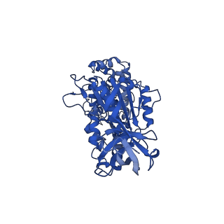 11342_6zpo_B_v1-2
bovine ATP synthase monomer state 1 (combined)