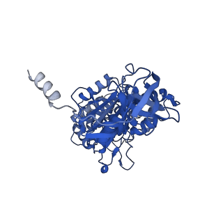 11342_6zpo_C_v1-2
bovine ATP synthase monomer state 1 (combined)