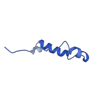11342_6zpo_I_v1-2
bovine ATP synthase monomer state 1 (combined)