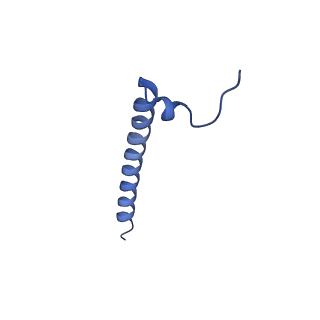 11342_6zpo_J_v1-2
bovine ATP synthase monomer state 1 (combined)
