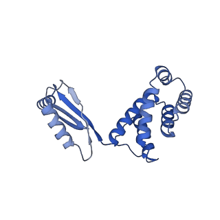 11342_6zpo_S_v1-2
bovine ATP synthase monomer state 1 (combined)