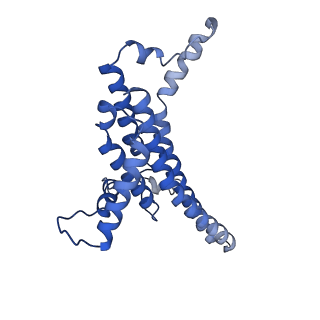 11342_6zpo_a_v1-2
bovine ATP synthase monomer state 1 (combined)