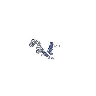 11342_6zpo_d_v1-2
bovine ATP synthase monomer state 1 (combined)