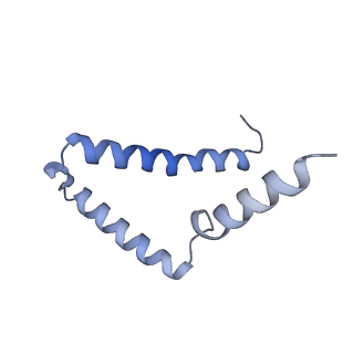 11342_6zpo_g_v1-2
bovine ATP synthase monomer state 1 (combined)