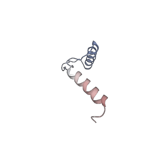 11342_6zpo_h_v1-2
bovine ATP synthase monomer state 1 (combined)