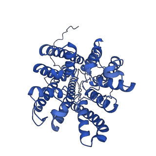 14851_7zp9_C_v2-0
KtrAB complex - KtrA8 ring with a KtrB dimer on each side