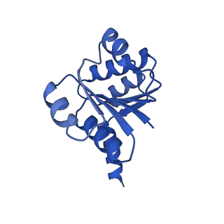 14851_7zp9_D_v2-0
KtrAB complex - KtrA8 ring with a KtrB dimer on each side