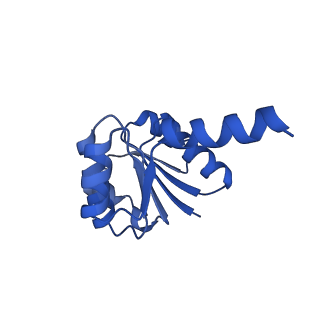 14851_7zp9_E_v2-0
KtrAB complex - KtrA8 ring with a KtrB dimer on each side