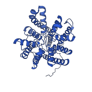 14851_7zp9_G_v2-0
KtrAB complex - KtrA8 ring with a KtrB dimer on each side