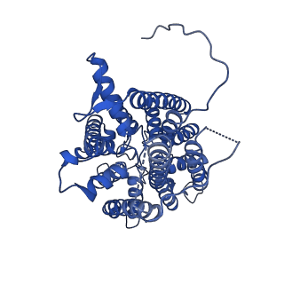 14851_7zp9_I_v2-0
KtrAB complex - KtrA8 ring with a KtrB dimer on each side