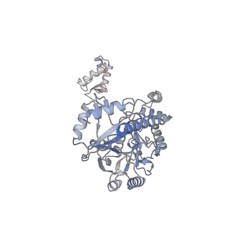 14852_7zpa_A_v1-1
Cryo-EM structure of holo-PdxR from Bacillus clausii bound to its target DNA in the closed conformation, C1 symmetry