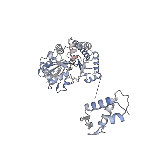 14852_7zpa_B_v1-1
Cryo-EM structure of holo-PdxR from Bacillus clausii bound to its target DNA in the closed conformation, C1 symmetry