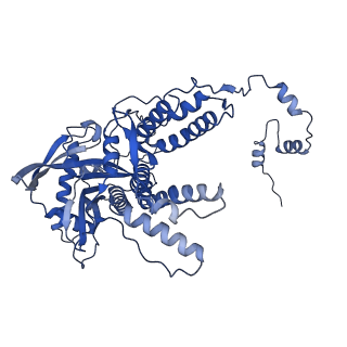 14857_7zpl_A_v1-2
Symmetric dimer of influenza A/H7N9 polymerase bound to 5' vRNA hook
