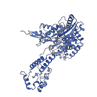 14857_7zpl_B_v1-2
Symmetric dimer of influenza A/H7N9 polymerase bound to 5' vRNA hook