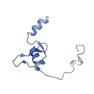 14857_7zpl_C_v1-2
Symmetric dimer of influenza A/H7N9 polymerase bound to 5' vRNA hook