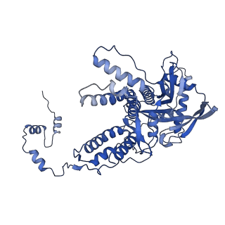 14857_7zpl_D_v1-2
Symmetric dimer of influenza A/H7N9 polymerase bound to 5' vRNA hook