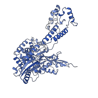 14857_7zpl_E_v1-2
Symmetric dimer of influenza A/H7N9 polymerase bound to 5' vRNA hook