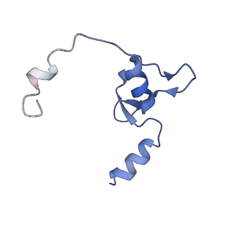 14857_7zpl_F_v1-2
Symmetric dimer of influenza A/H7N9 polymerase bound to 5' vRNA hook