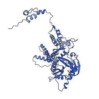 14858_7zpm_A_v1-2
Influenza A/H7N9 polymerase apo-protein dimer complex