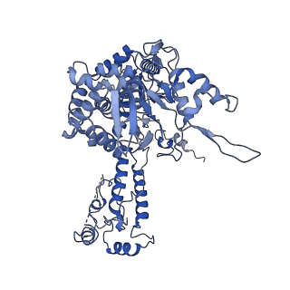 14858_7zpm_B_v1-2
Influenza A/H7N9 polymerase apo-protein dimer complex
