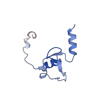 14858_7zpm_C_v1-2
Influenza A/H7N9 polymerase apo-protein dimer complex