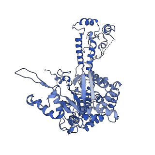 14858_7zpm_E_v1-2
Influenza A/H7N9 polymerase apo-protein dimer complex