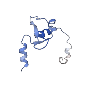 14858_7zpm_F_v1-2
Influenza A/H7N9 polymerase apo-protein dimer complex
