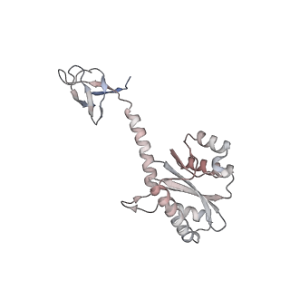 14860_7zpp_D_v1-2
Cryo-EM structure of the MVV CSC intasome at 4.5A resolution