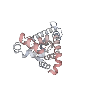 14860_7zpp_G_v1-2
Cryo-EM structure of the MVV CSC intasome at 4.5A resolution