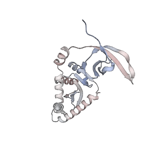 14860_7zpp_H_v1-2
Cryo-EM structure of the MVV CSC intasome at 4.5A resolution