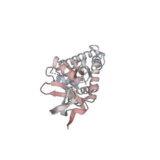 14860_7zpp_J_v1-2
Cryo-EM structure of the MVV CSC intasome at 4.5A resolution