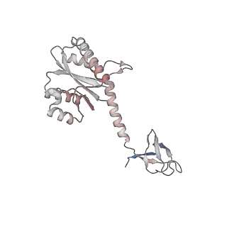 14860_7zpp_L_v1-2
Cryo-EM structure of the MVV CSC intasome at 4.5A resolution