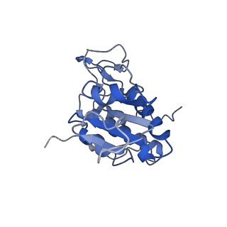 14861_7zpq_AA_v1-1
Structure of the RQT-bound 80S ribosome from S. cerevisiae (C1)
