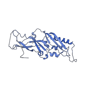 14861_7zpq_AB_v1-1
Structure of the RQT-bound 80S ribosome from S. cerevisiae (C1)
