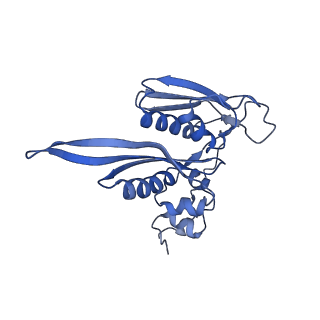 14861_7zpq_AC_v1-1
Structure of the RQT-bound 80S ribosome from S. cerevisiae (C1)