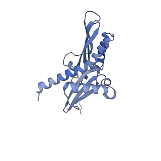 14861_7zpq_AD_v1-1
Structure of the RQT-bound 80S ribosome from S. cerevisiae (C1)