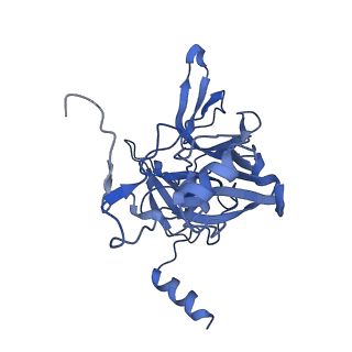 14861_7zpq_AE_v1-1
Structure of the RQT-bound 80S ribosome from S. cerevisiae (C1)