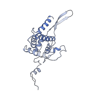 14861_7zpq_AF_v1-1
Structure of the RQT-bound 80S ribosome from S. cerevisiae (C1)