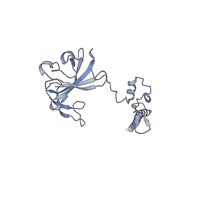 14861_7zpq_AG_v1-1
Structure of the RQT-bound 80S ribosome from S. cerevisiae (C1)