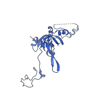 14861_7zpq_AI_v1-1
Structure of the RQT-bound 80S ribosome from S. cerevisiae (C1)