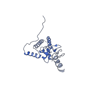 14861_7zpq_AJ_v1-1
Structure of the RQT-bound 80S ribosome from S. cerevisiae (C1)