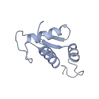 14861_7zpq_AK_v1-1
Structure of the RQT-bound 80S ribosome from S. cerevisiae (C1)