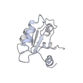 14861_7zpq_AM_v1-1
Structure of the RQT-bound 80S ribosome from S. cerevisiae (C1)