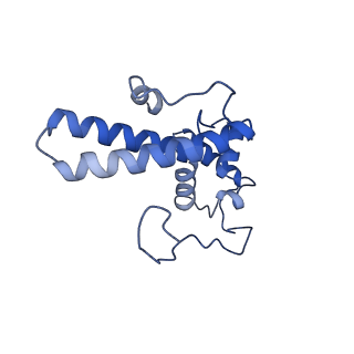 14861_7zpq_AN_v1-1
Structure of the RQT-bound 80S ribosome from S. cerevisiae (C1)