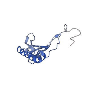 14861_7zpq_AO_v1-1
Structure of the RQT-bound 80S ribosome from S. cerevisiae (C1)
