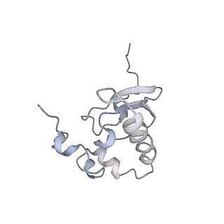 14861_7zpq_AP_v1-1
Structure of the RQT-bound 80S ribosome from S. cerevisiae (C1)