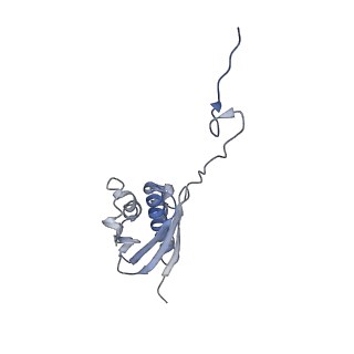 14861_7zpq_AQ_v1-1
Structure of the RQT-bound 80S ribosome from S. cerevisiae (C1)