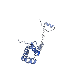 14861_7zpq_AR_v1-1
Structure of the RQT-bound 80S ribosome from S. cerevisiae (C1)